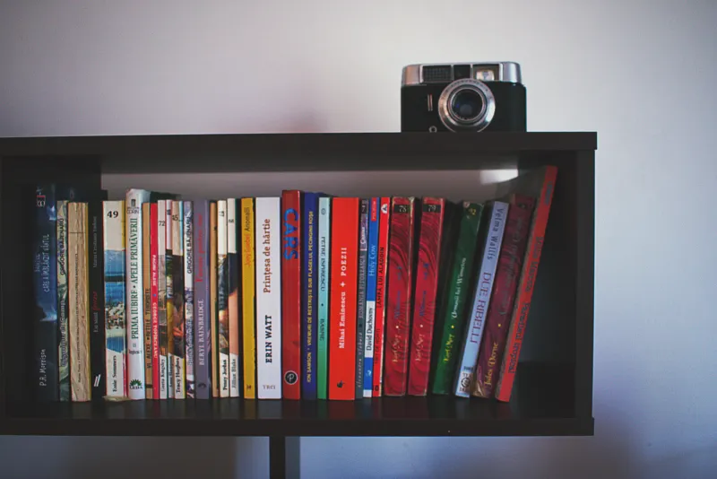 Shelf as Canvas: The Criterion Collectors Turning Their Living Rooms Into Art Installations