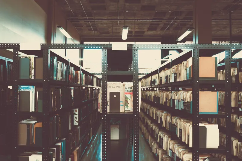The Quiet Erasure: Criterion Titles That Vanished From the Catalog Without a Word